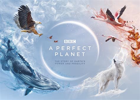 a perfect planet limetorrents|BBC iPlayer .